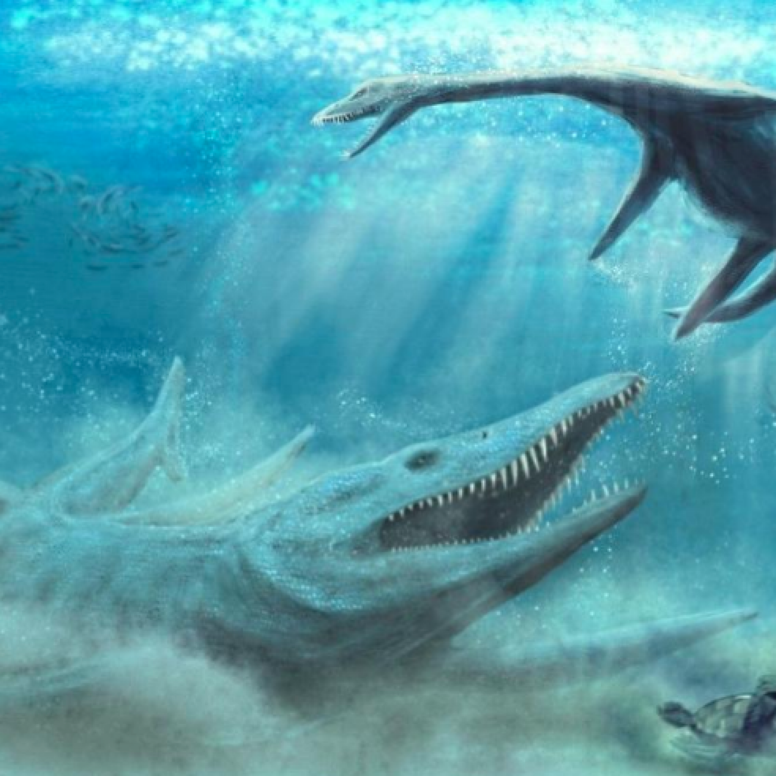 33-foot-long 'Sea Monster' That 'Hunted All Animals' Found Surrounded by  Ancient Crocodile Skulls and Teeth