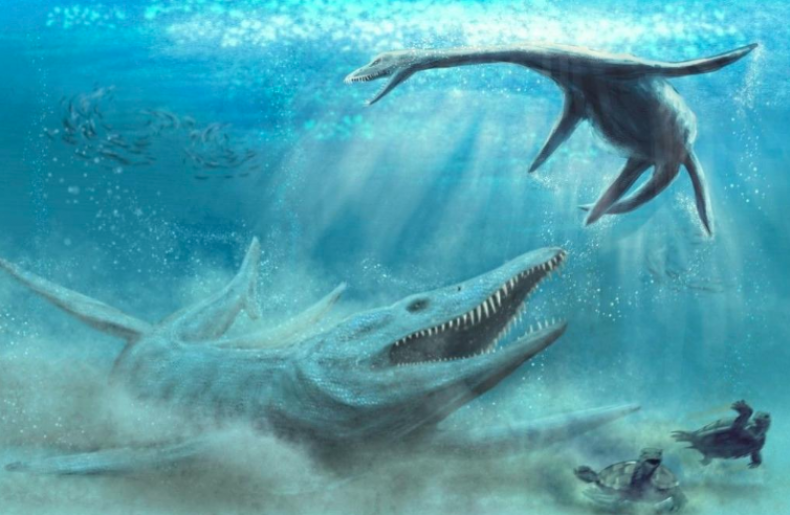 a pliosaur and a plesiosaur 