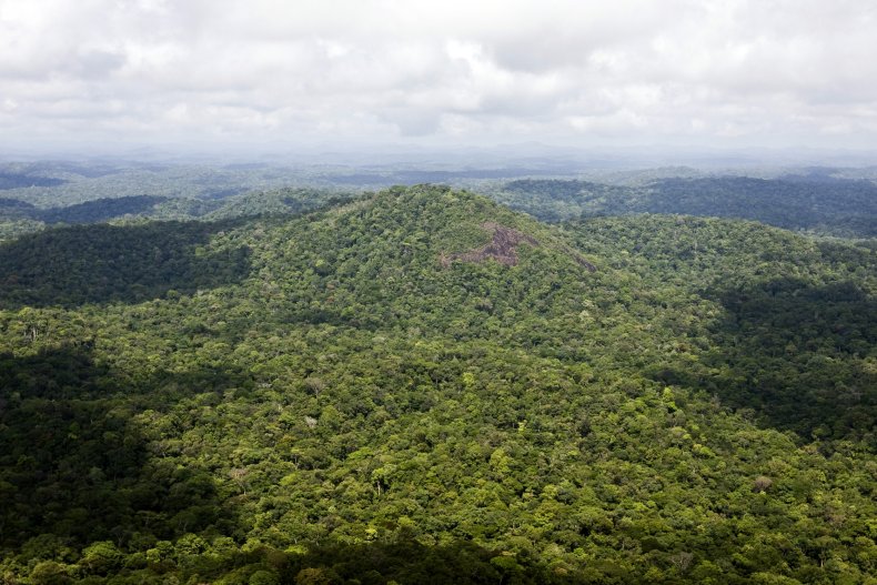 Amazon rainforest, French Guiana