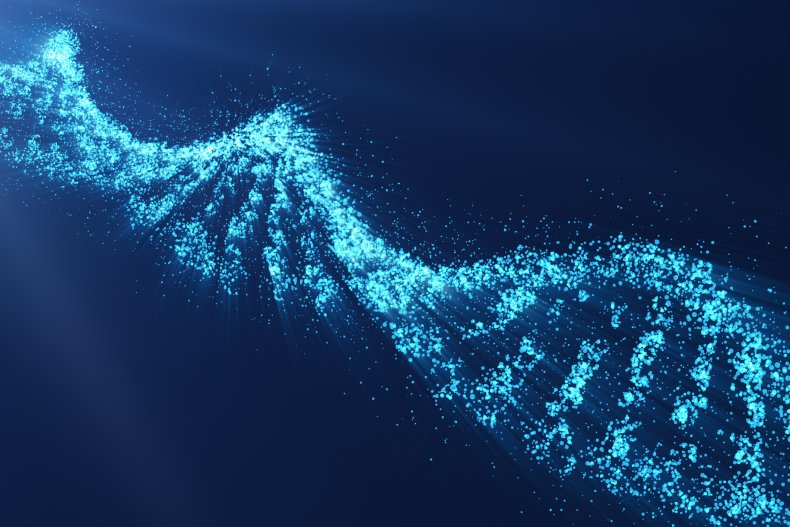 DNA Testing