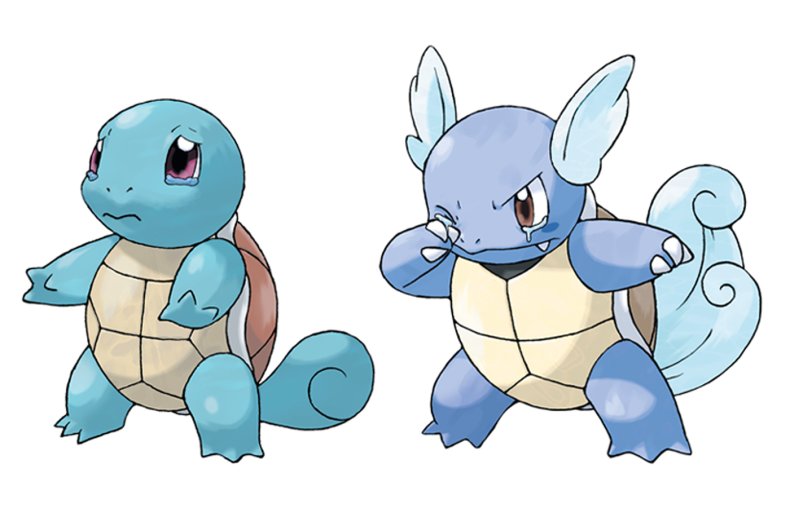 squirtle wartortle pokemon sword and shield. 