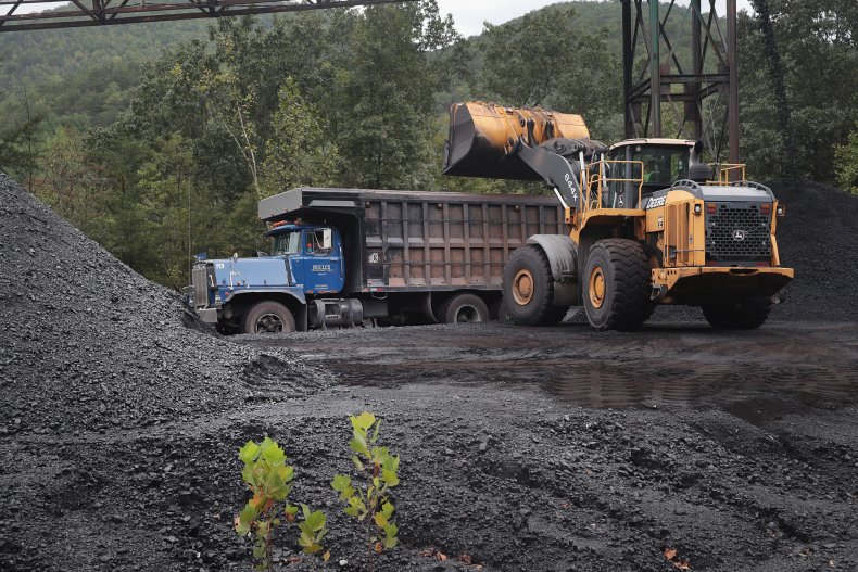 Coal
