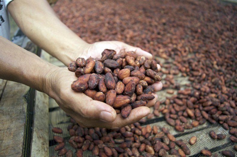 Cacao