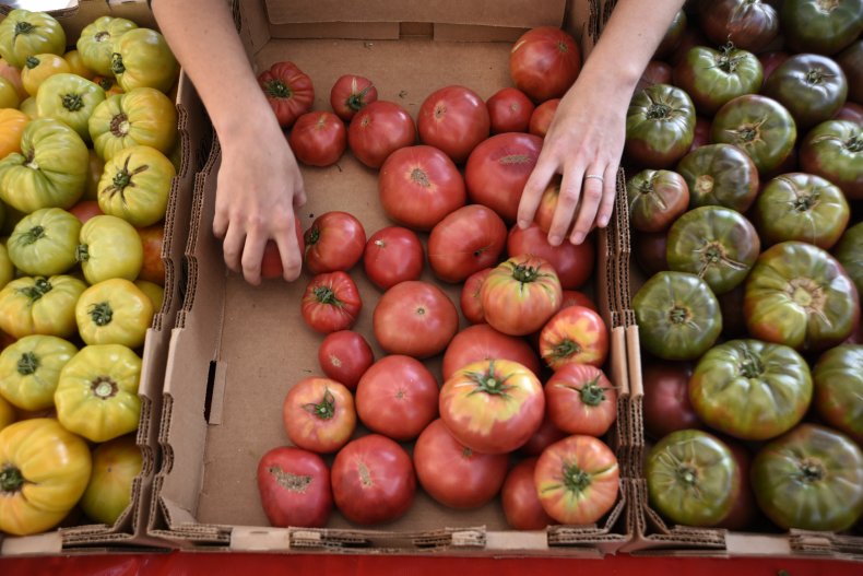 tomatoes