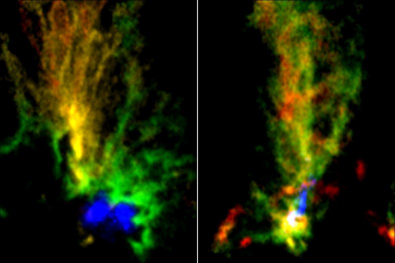 peacock-shaped cosmic clouds
