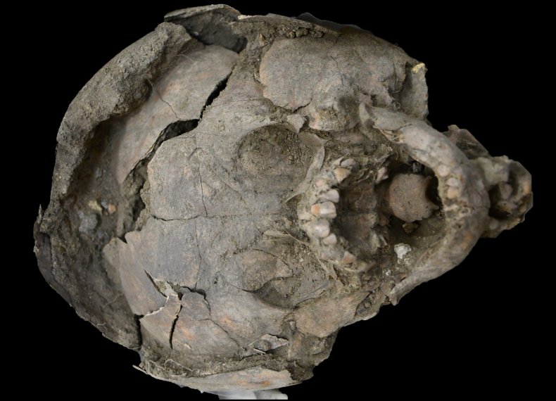 Salango burial head