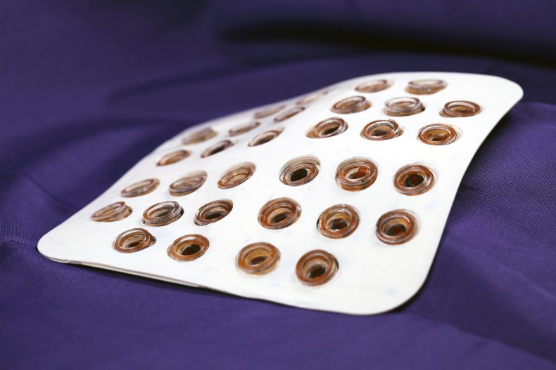 Epidermal VR, virtual reality, nature,