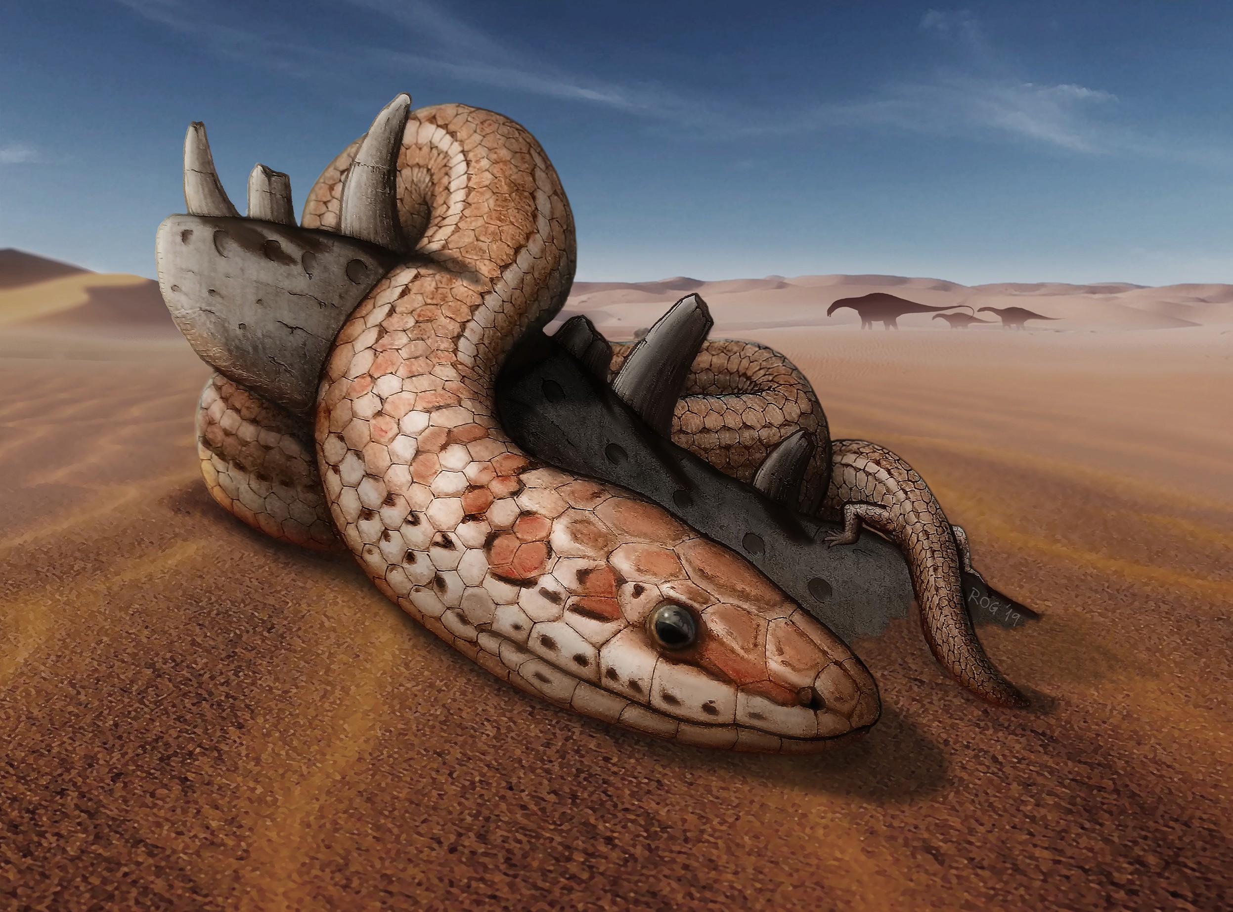 Ancient Snakes Had Limbs for 70 Million Years and They Were 'Big Bodied and  Big Mouthed'
