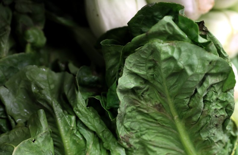 Romaine Lettuce on Display