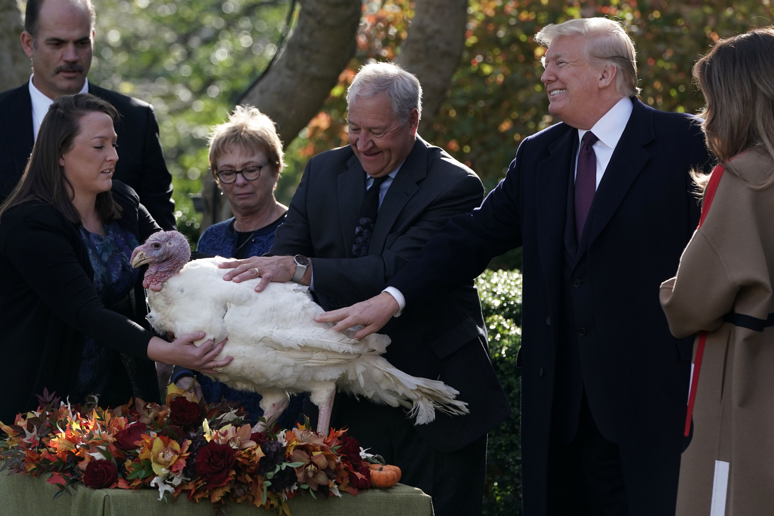 Trump Presidential Turkey Pardon How to Watch Thanksgiving White House