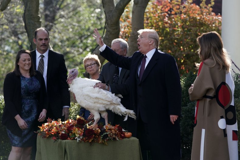 Trump turkey pardon