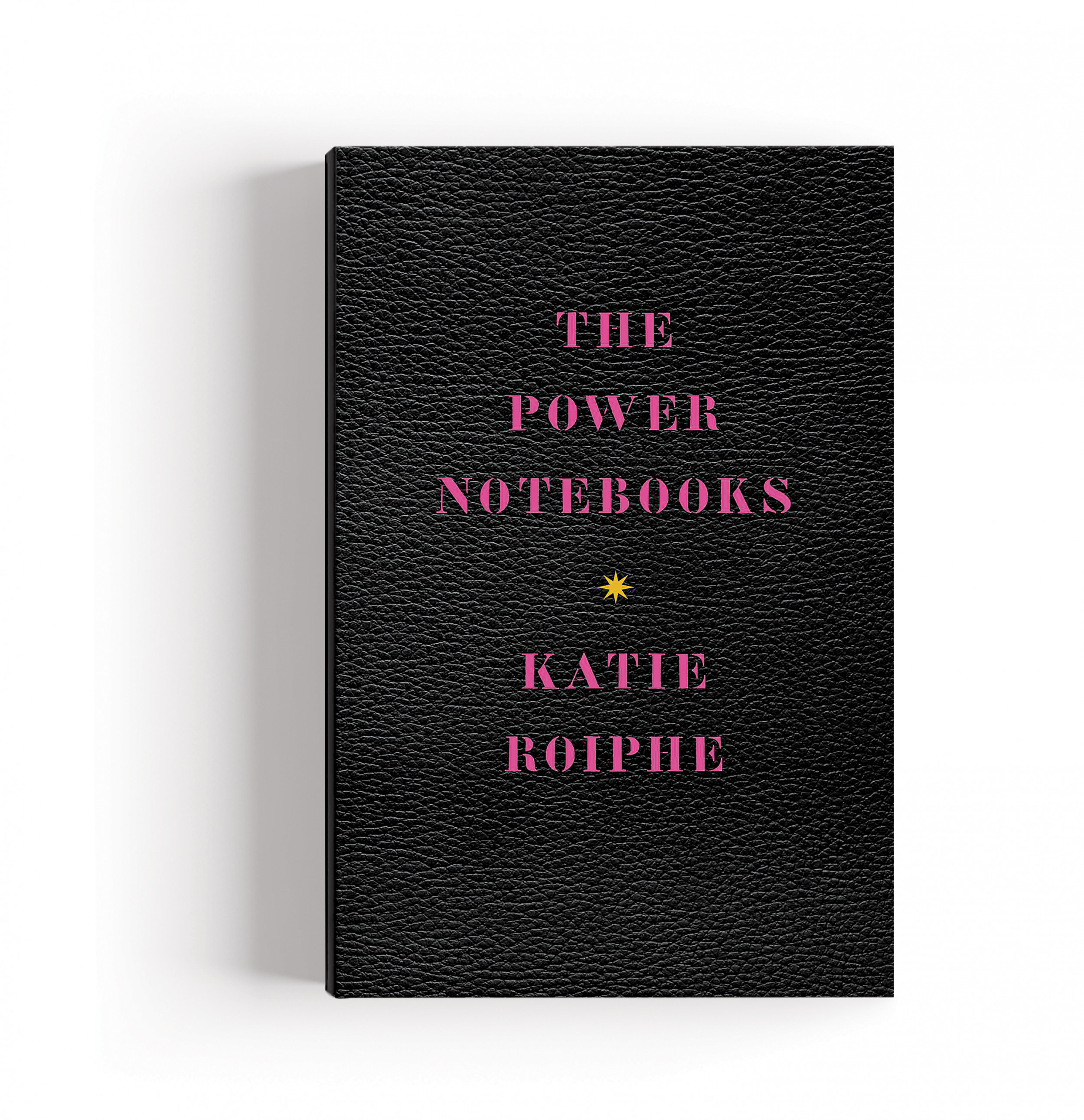the power notebooks by katie roiphe