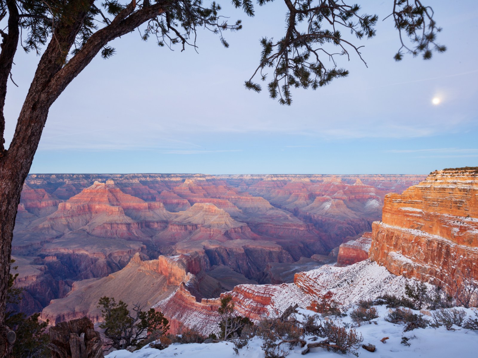 Grand Canyon National Park Shares Photo Of Visitors Walking Along Icy Ledge In Sneakers And Shorts Don T Risk It Grand Canyon National Park Shares Photo Of Visitors Walking Along Icy Ledge In Sneakers And Shorts Don T Risk It