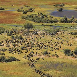 Botswana Country Report