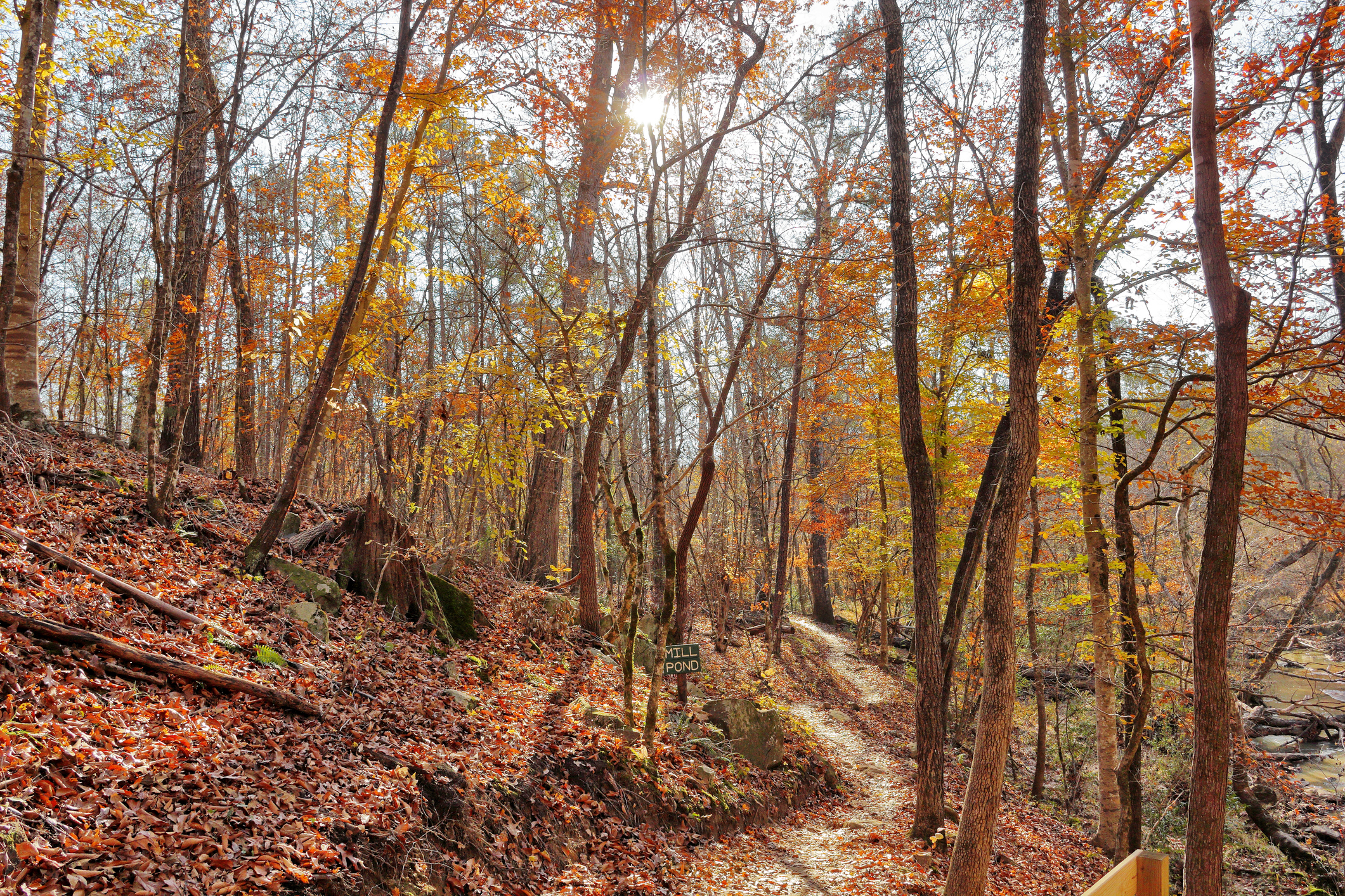 9-Year-Old South Carolina Boy Killed In Thanksgiving Hunting Accident - Newsweek