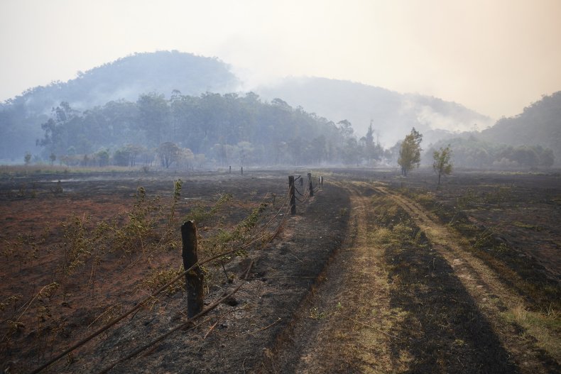 Bush fires, New South Wales, Australia