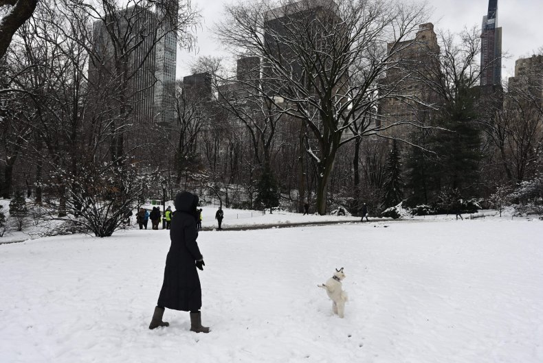 Central Park New York City snow