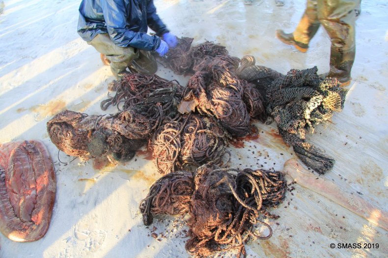 Netting