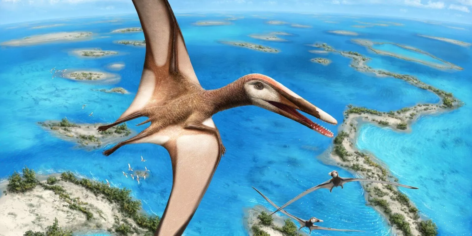 Pterodactyls took millions of years to become deadly masters of