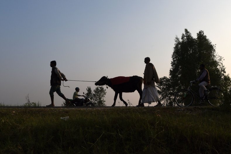 Gadhimai Festival