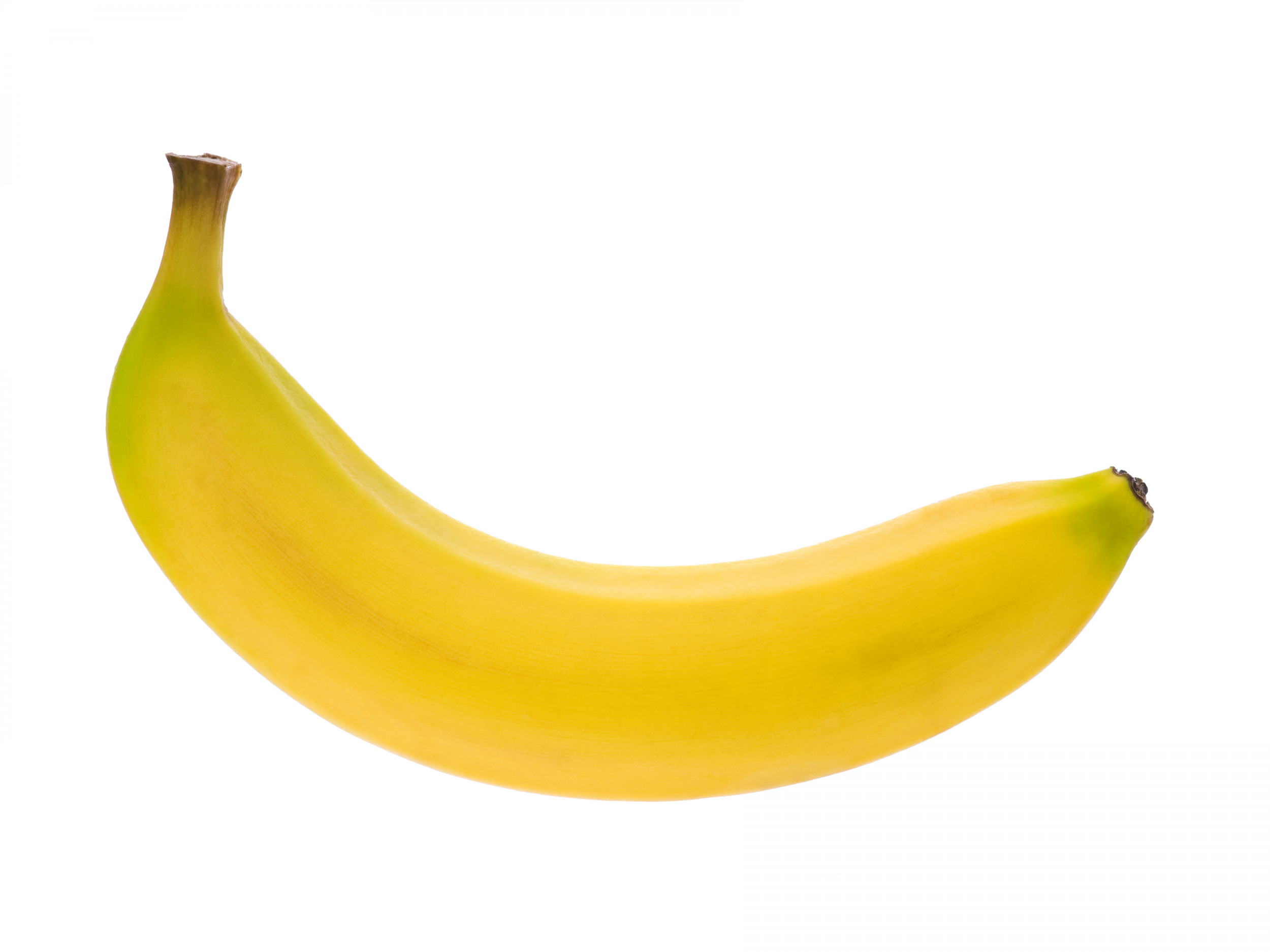 A banana duct-taped to a wall sold for $120,000 at Art Basel Miami