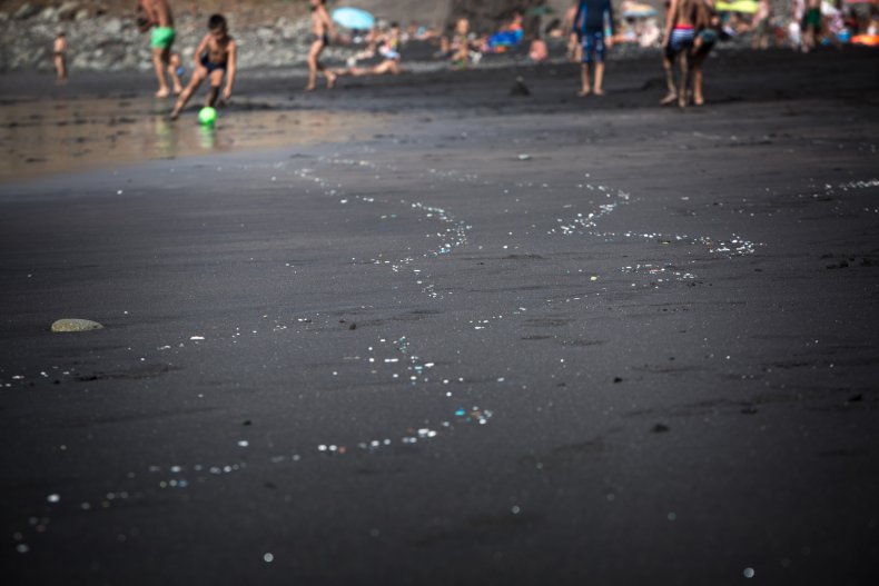 Microplastics on Beach