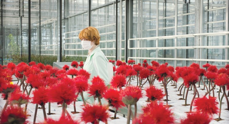 little-joe-movie-alice