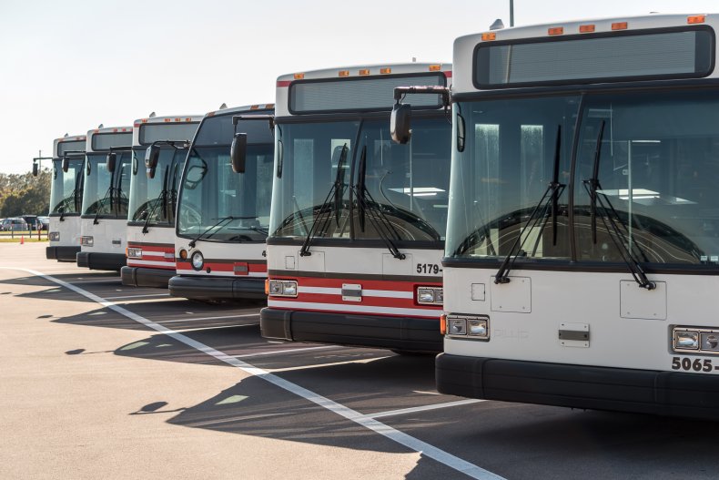 row of buses
