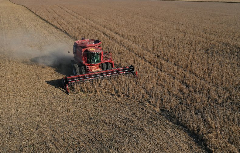 soybean farmer