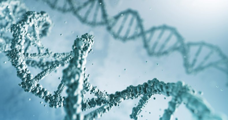 dna stock