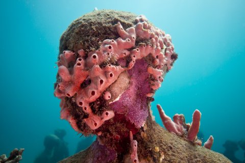 CUL_Map_Underwater_03