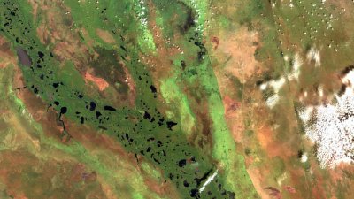 Sudd Wetlands, South Sudan