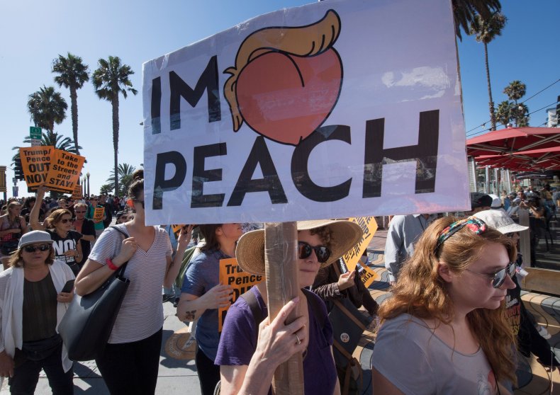 Anti-Trump Protester