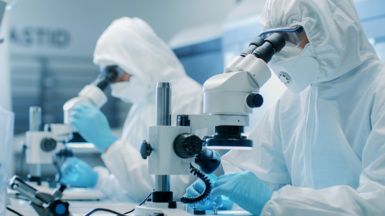 Two scientists in a lab