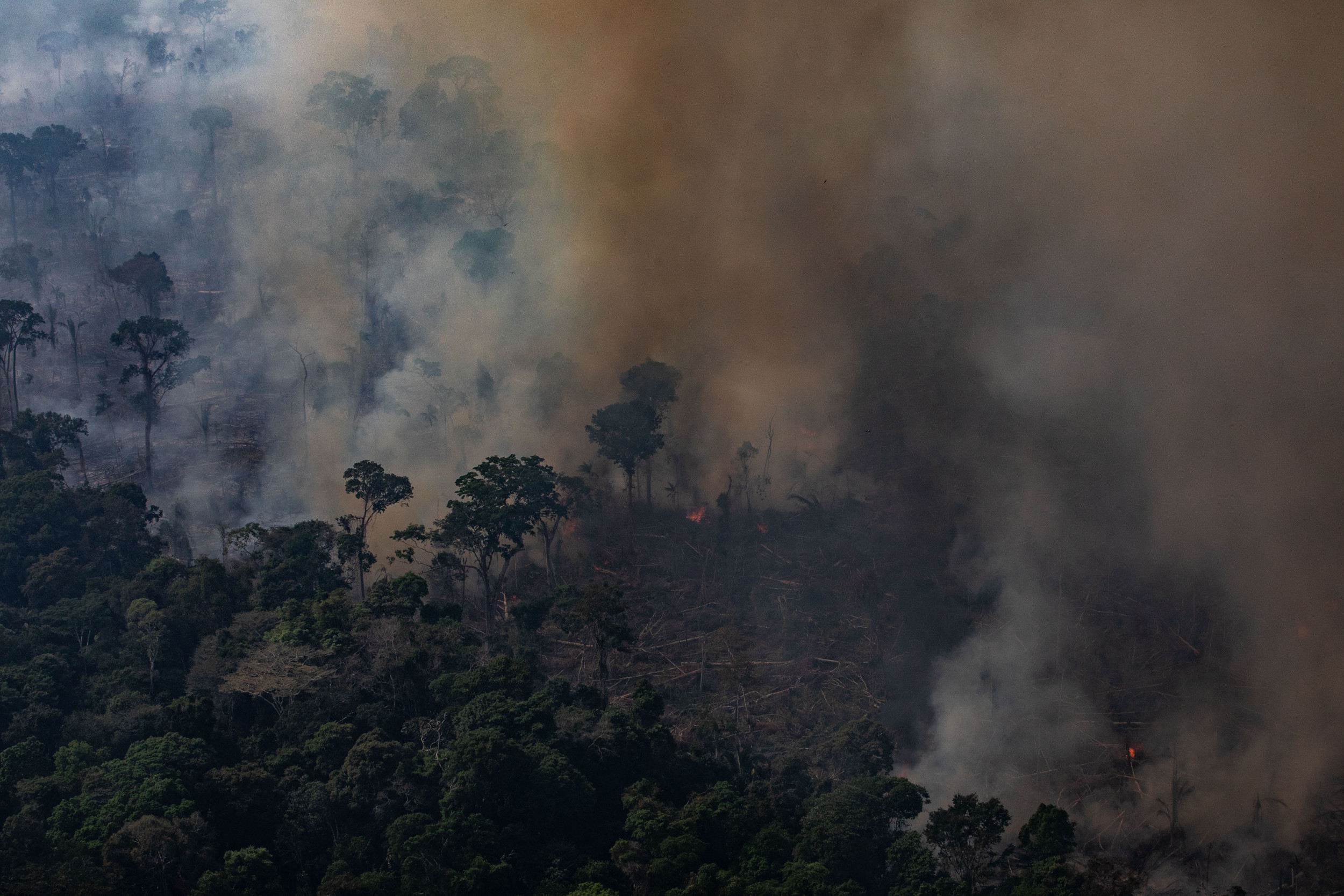 Video Shows Fires Raging Across the Earth Over 2019