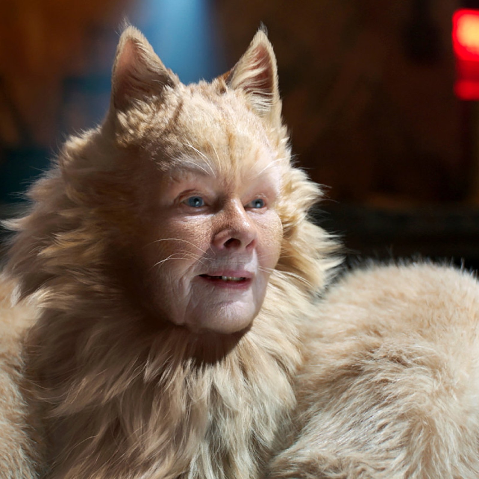 Cats Film Review Guardian