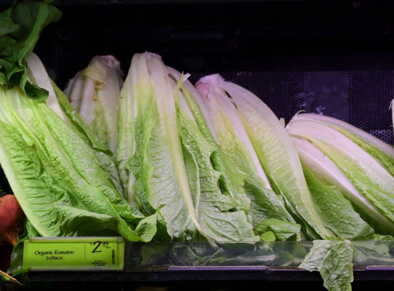 romaine lettuce on sale