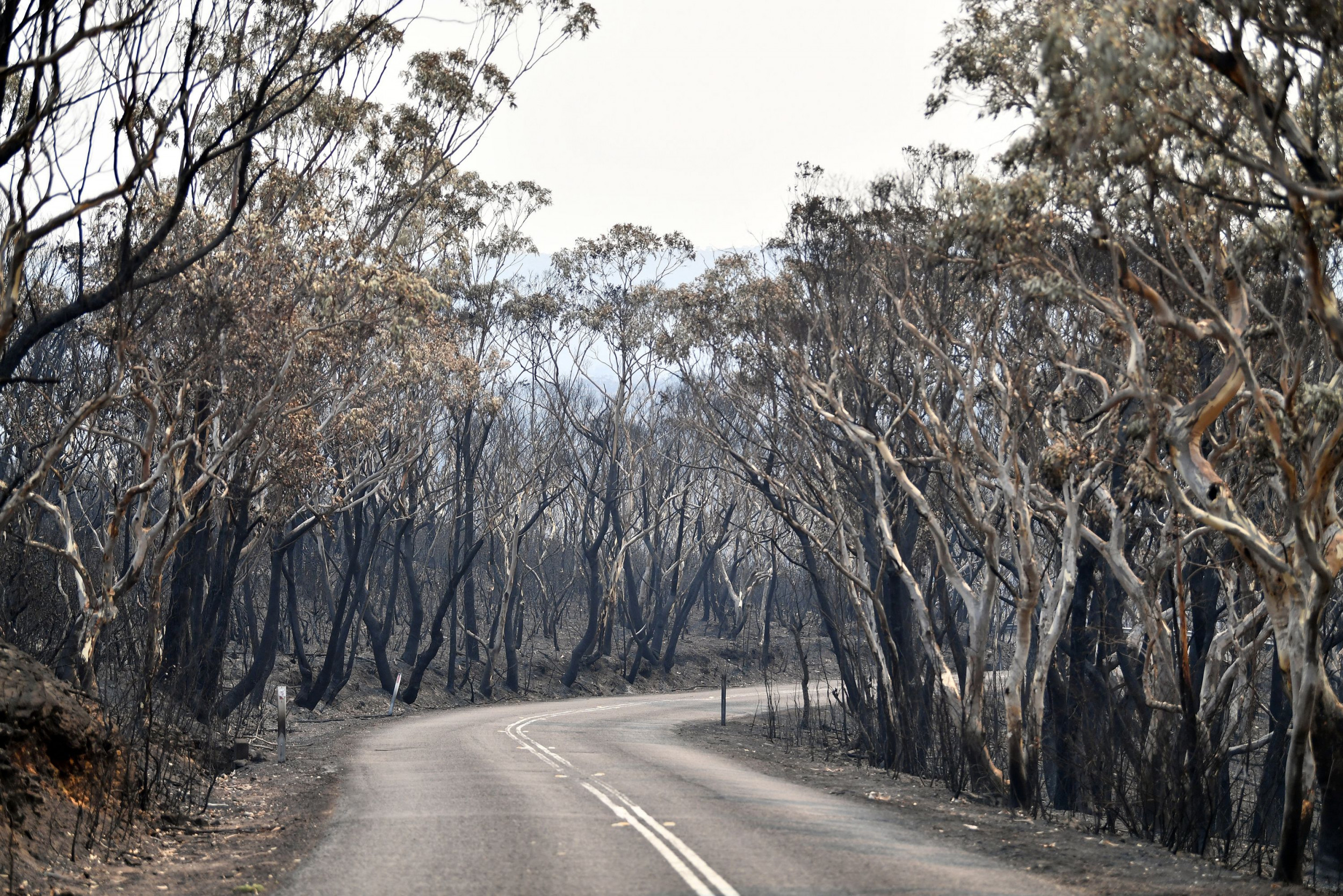 Record-Breaking Heatwave Melts Roads As Temperatures Hit Over 120 ...