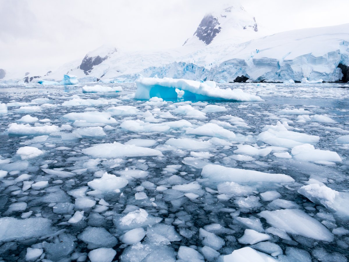 antarctica, ice, snow, stock, getty,Cierva CoveHughes Bay, Graham Land, Antarctica
