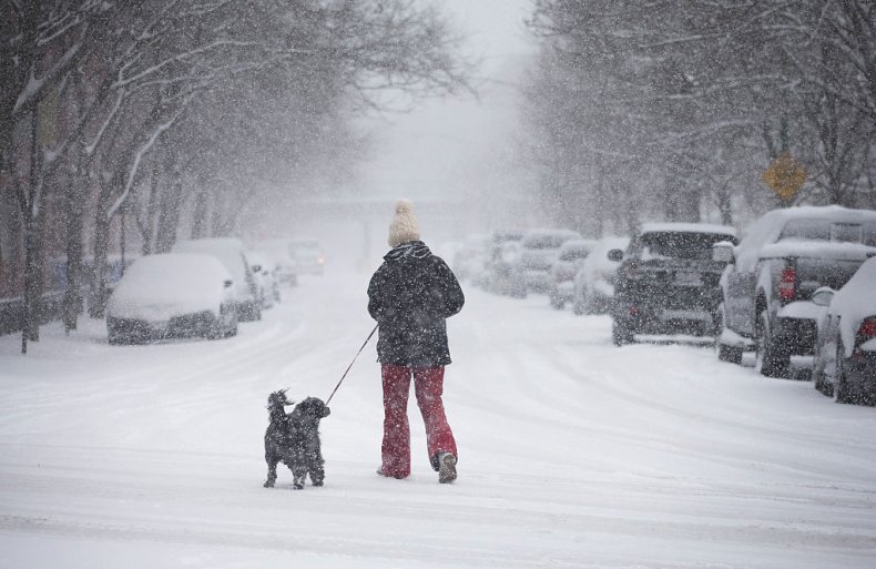 winter storm, snow