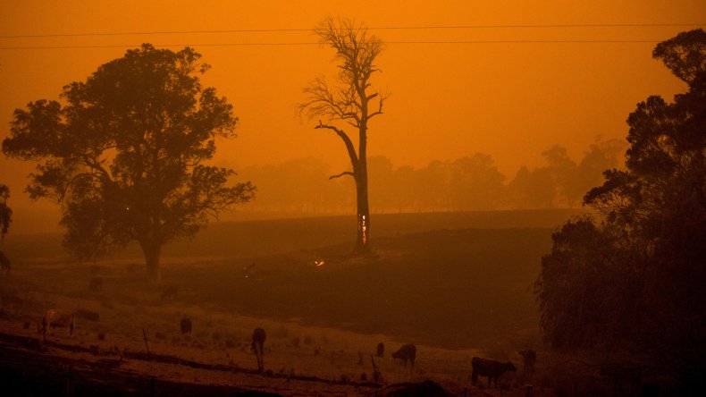 Fires Australia