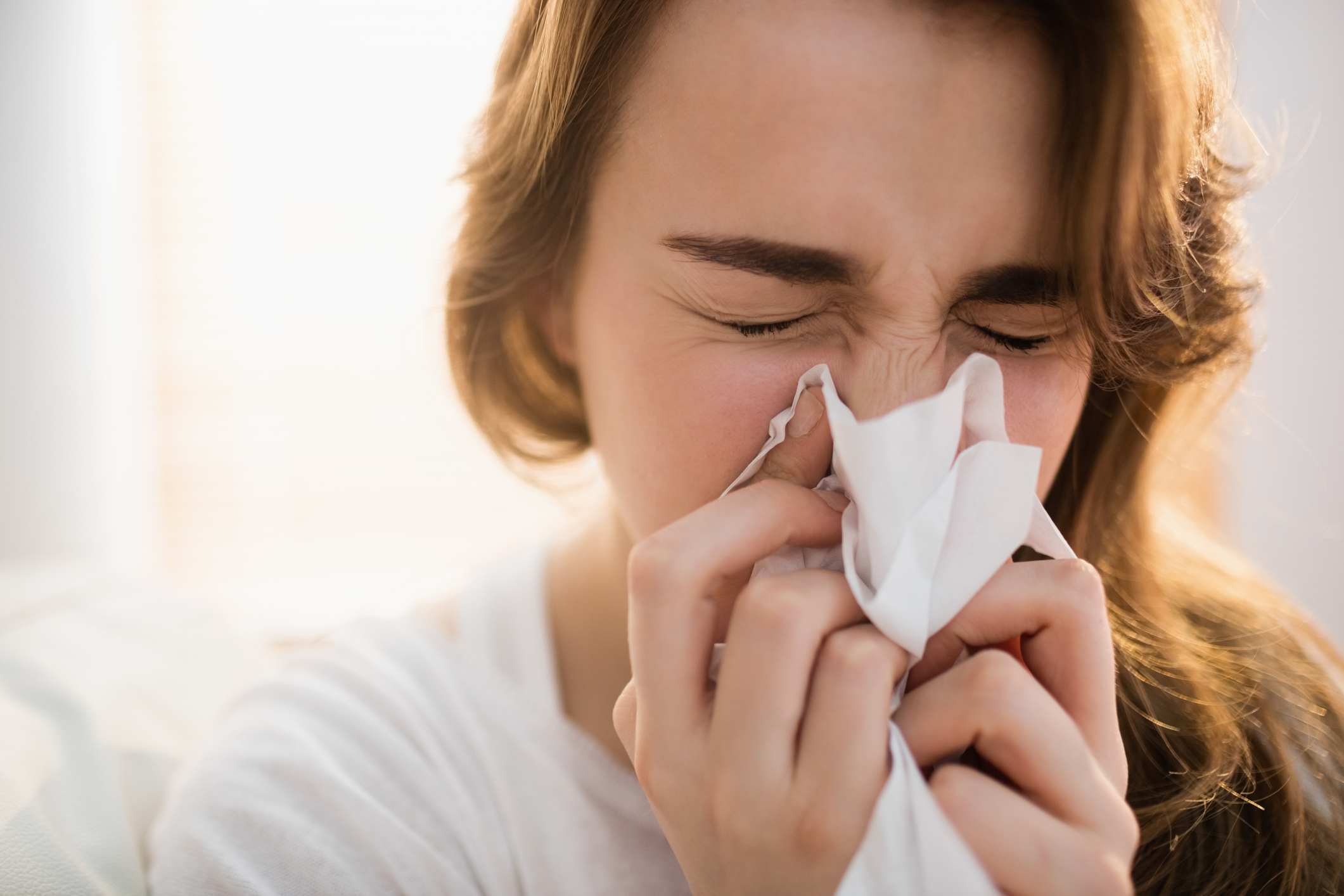 what viruses cause the common cold