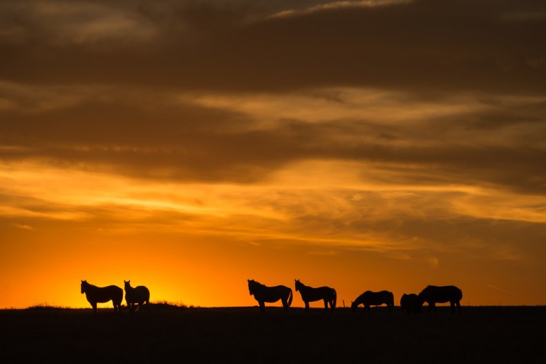 great plains, dakota,