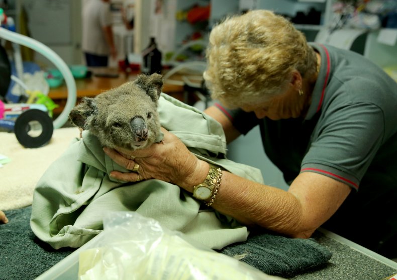 australia wildfire pictures flames