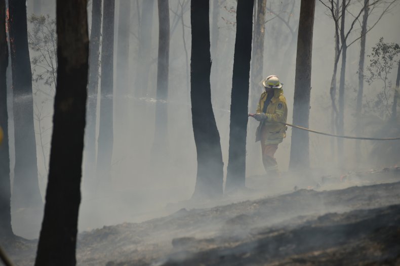 New South Wales firefighter