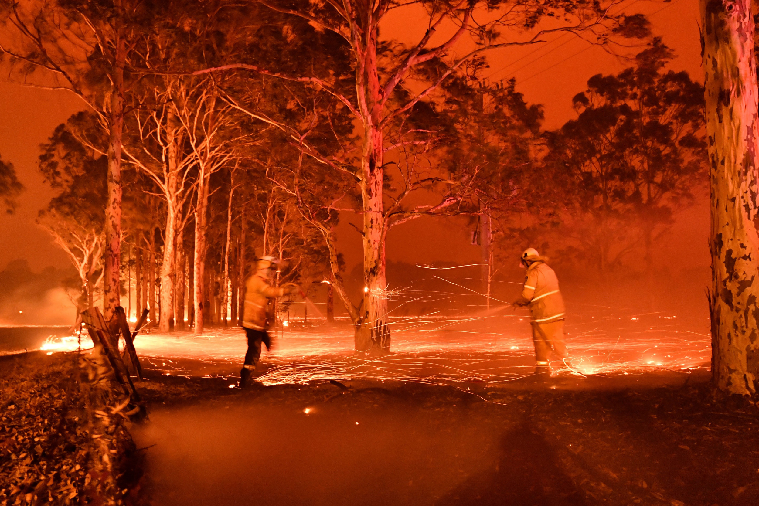 Australia Wildfires 2024 - Sammy Coraline