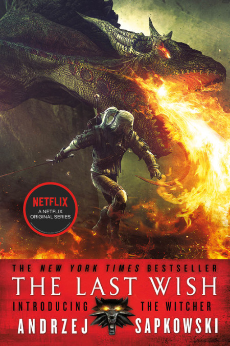 The Witcher on Netflix: A Beginner's Guide to the TV Show, Books, and Games  - TV Guide