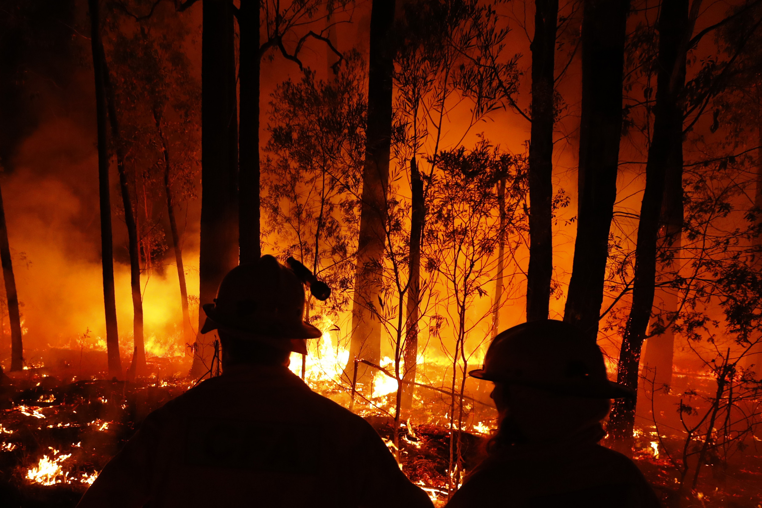 Fire Country. 2006 Junee Bushfire.