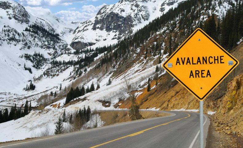 Avalanche stock