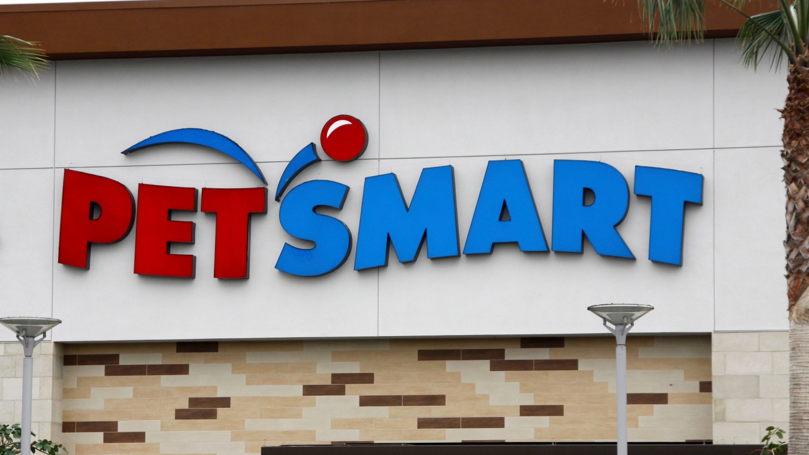 Get Las Vegas Woman Says Her Bulldog Was Crushed To Death By A For Android Get Wallpaper Las Vegas Woman Says Her Bulldog Was Crushed To Death By A Free